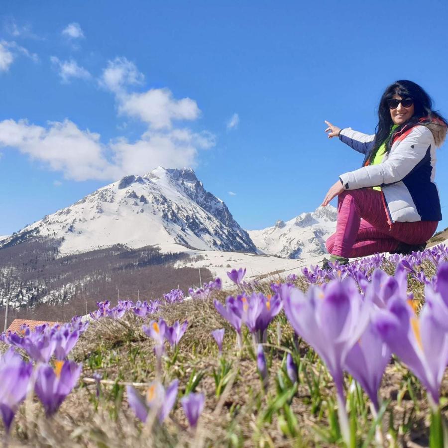 Konak Mara- Komovi Andrijevica Dış mekan fotoğraf